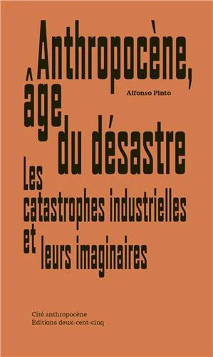 Anthropocène, âge du désastre : Les catastrophes industrielles et leurs imaginaires