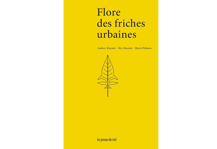 Flore des friches urbaines
