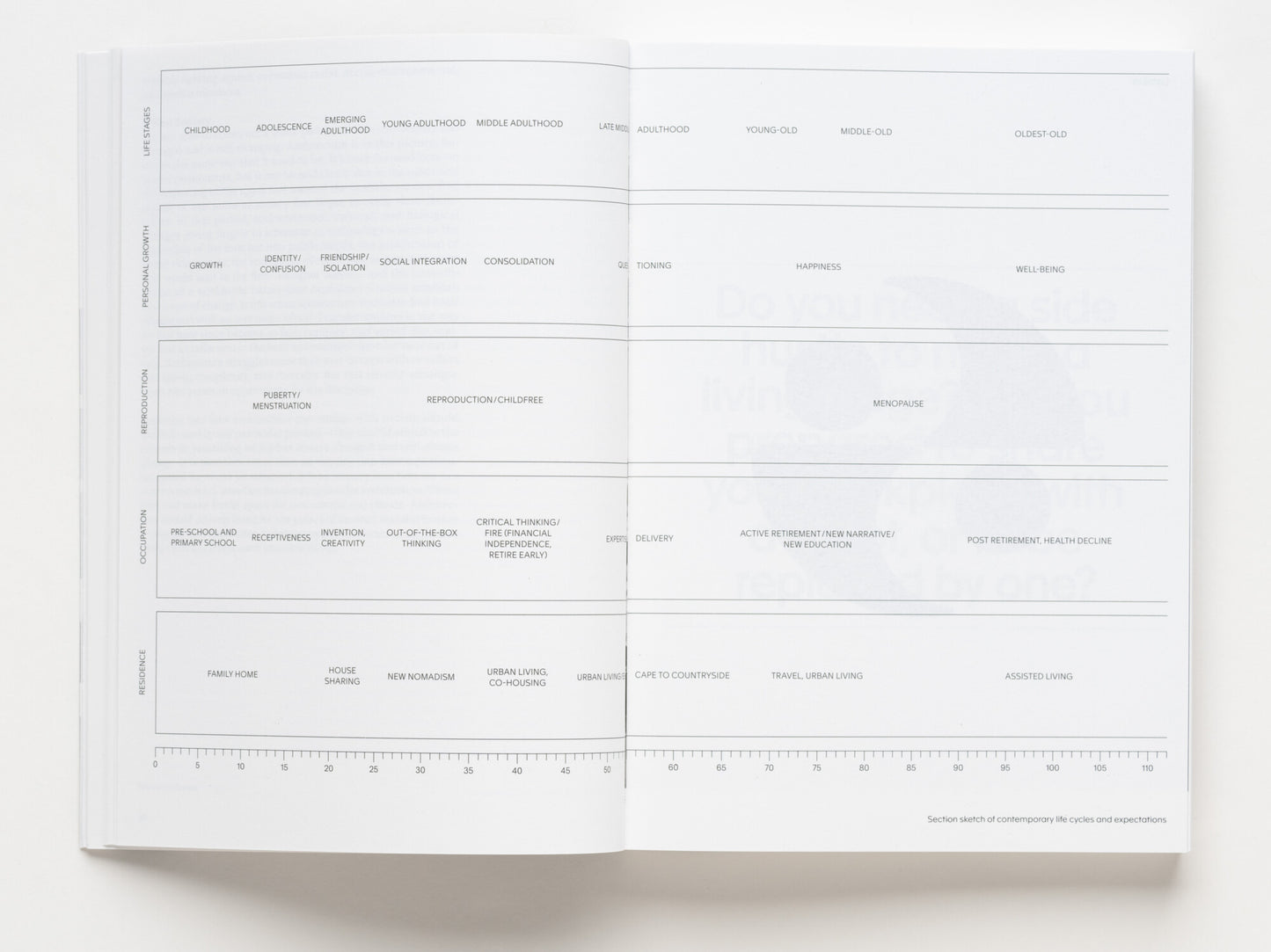 A section of Now: Norms and Rituals as Sites for Architectural Intervention