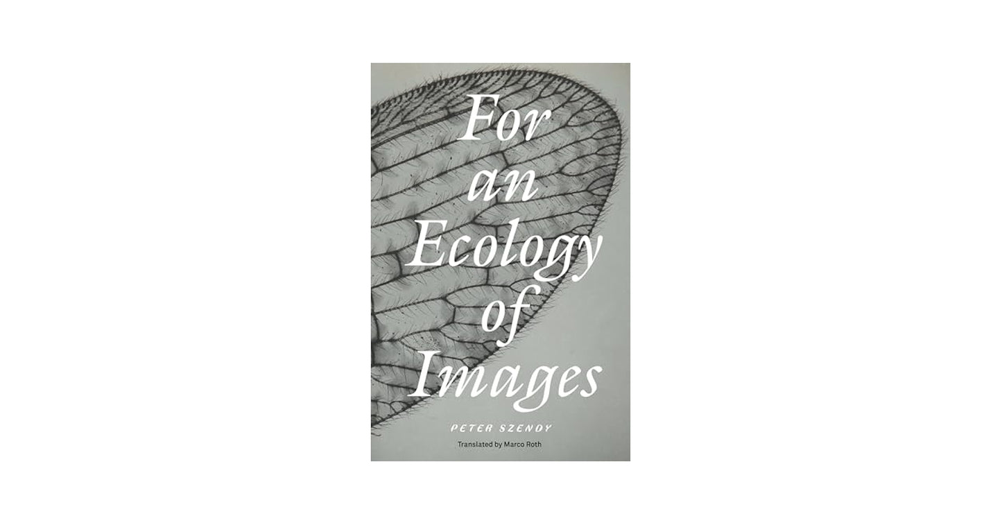 For an ecology of images