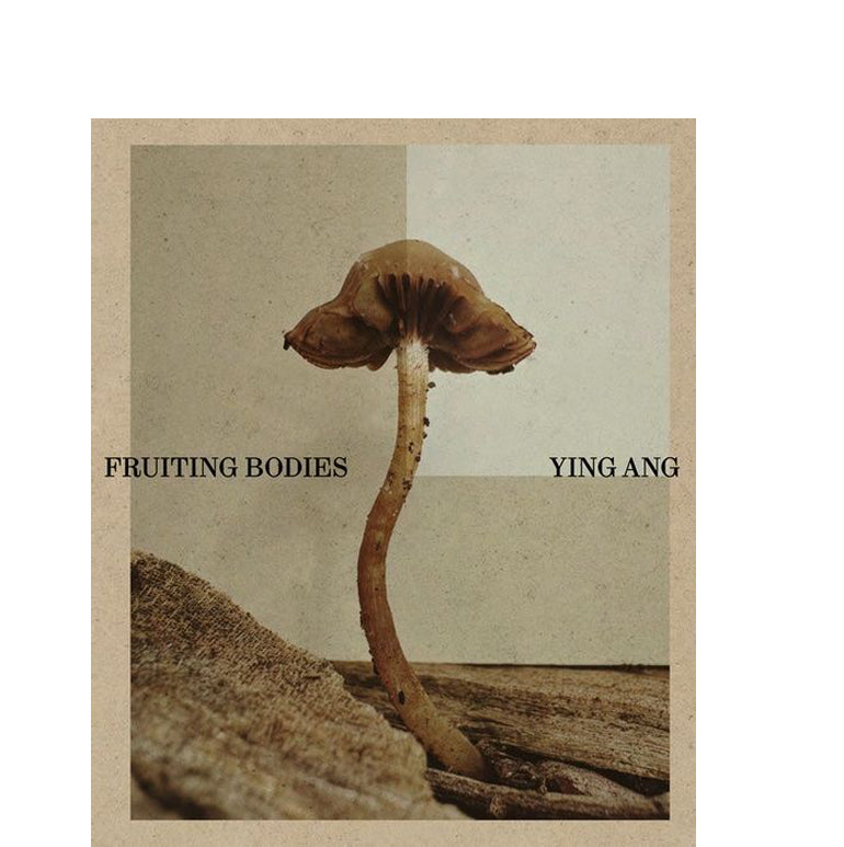 Ying Ang: Fruiting bodies