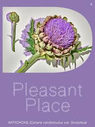 Pleasant Place 4: Artichoke
