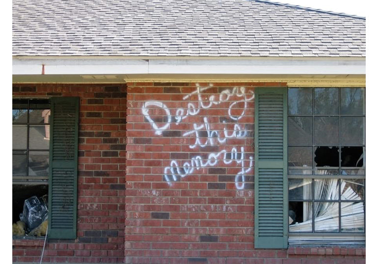 Richard Misrach: Destroy this memory
