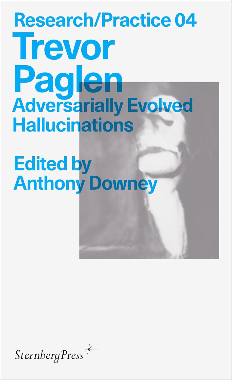 Adversarially evolved hallucinations: Trevor Paglen