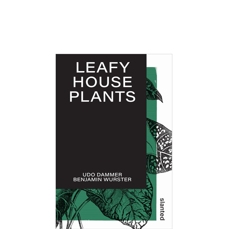 Leafy house plants