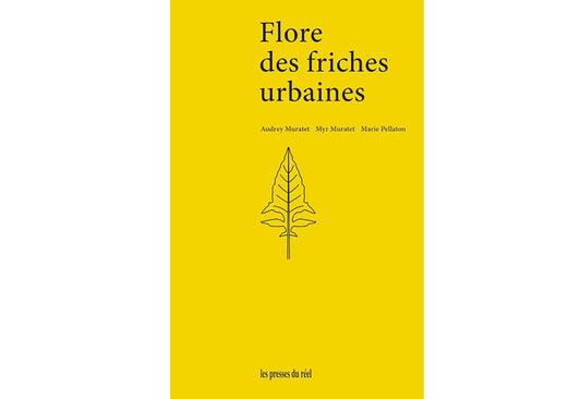 Flore des friches urbaines