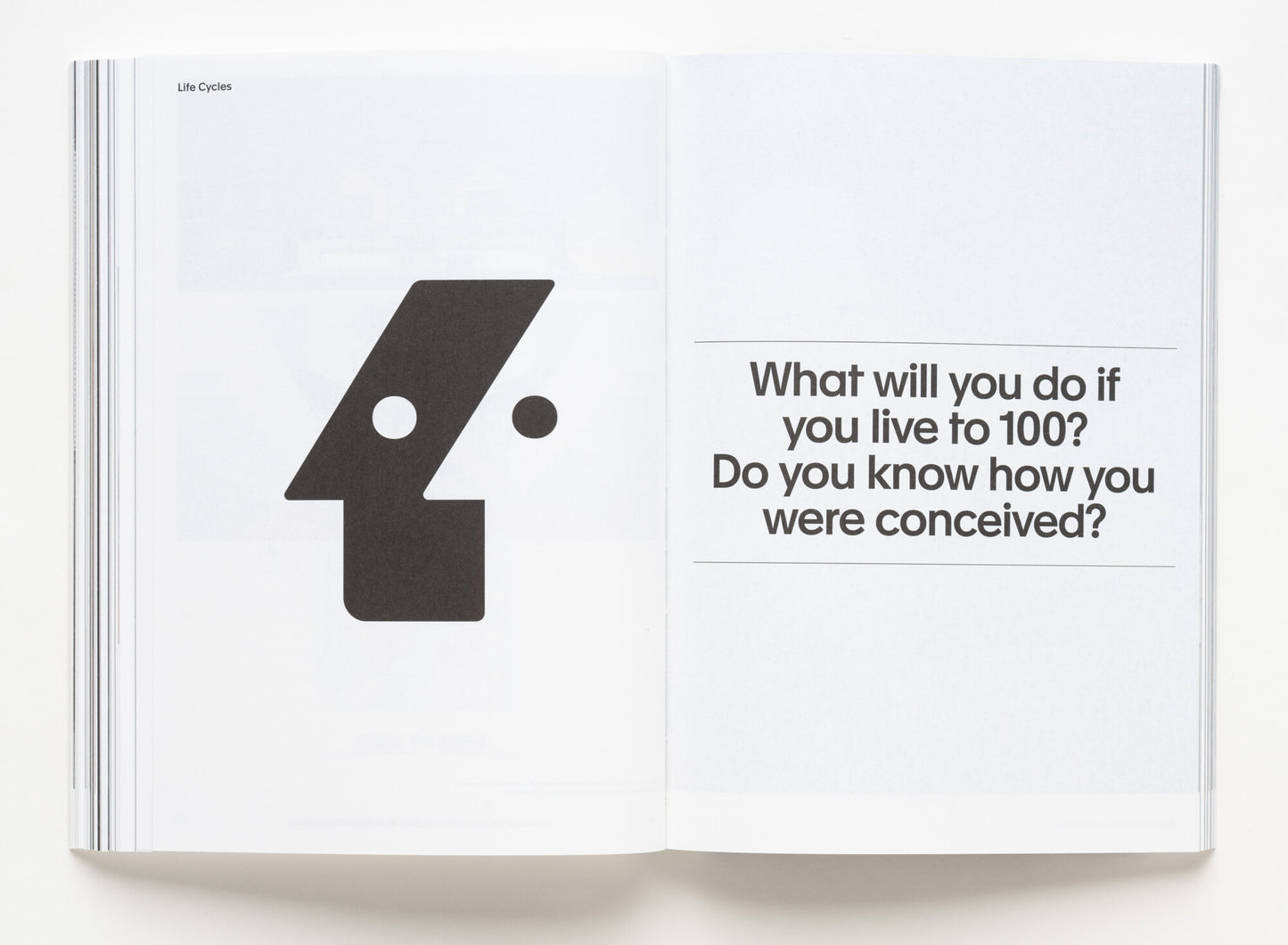 A section of Now: Norms and Rituals as Sites for Architectural Intervention