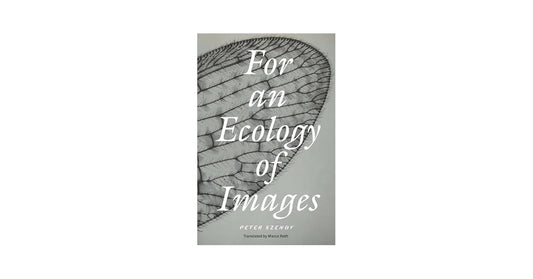 For an ecology of images