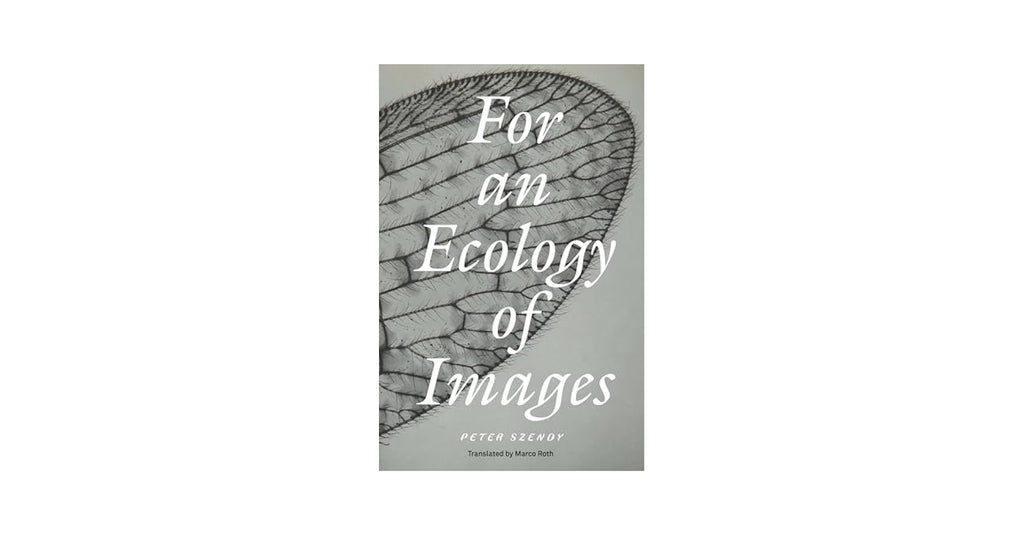 For an ecology of images