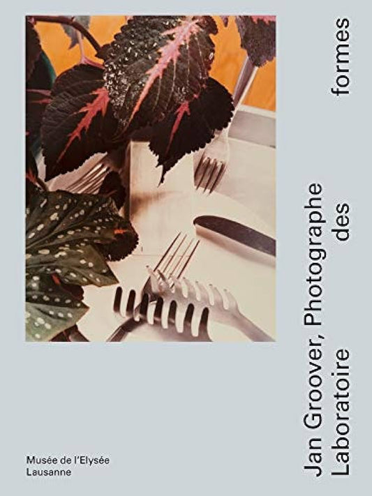Jan Groover, photographe : Le laboratoire des formes