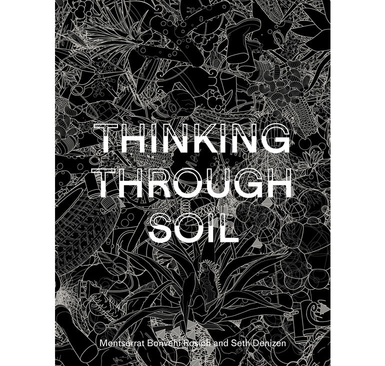 Thinking through soil: Wastewater agriculture in the Mezquital Valley