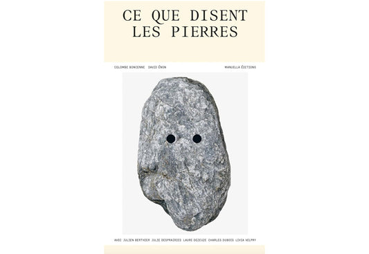 Ce que disent les pierres