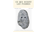 Ce que disent les pierres