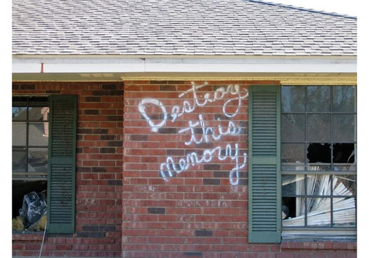 Richard Misrach: Destroy this memory