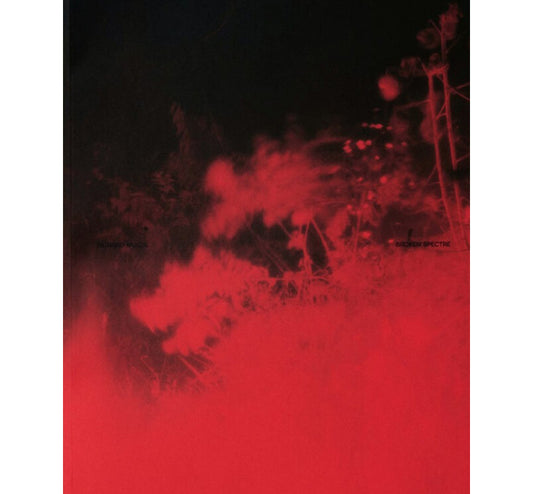 Richard Mosse: Broken spectre